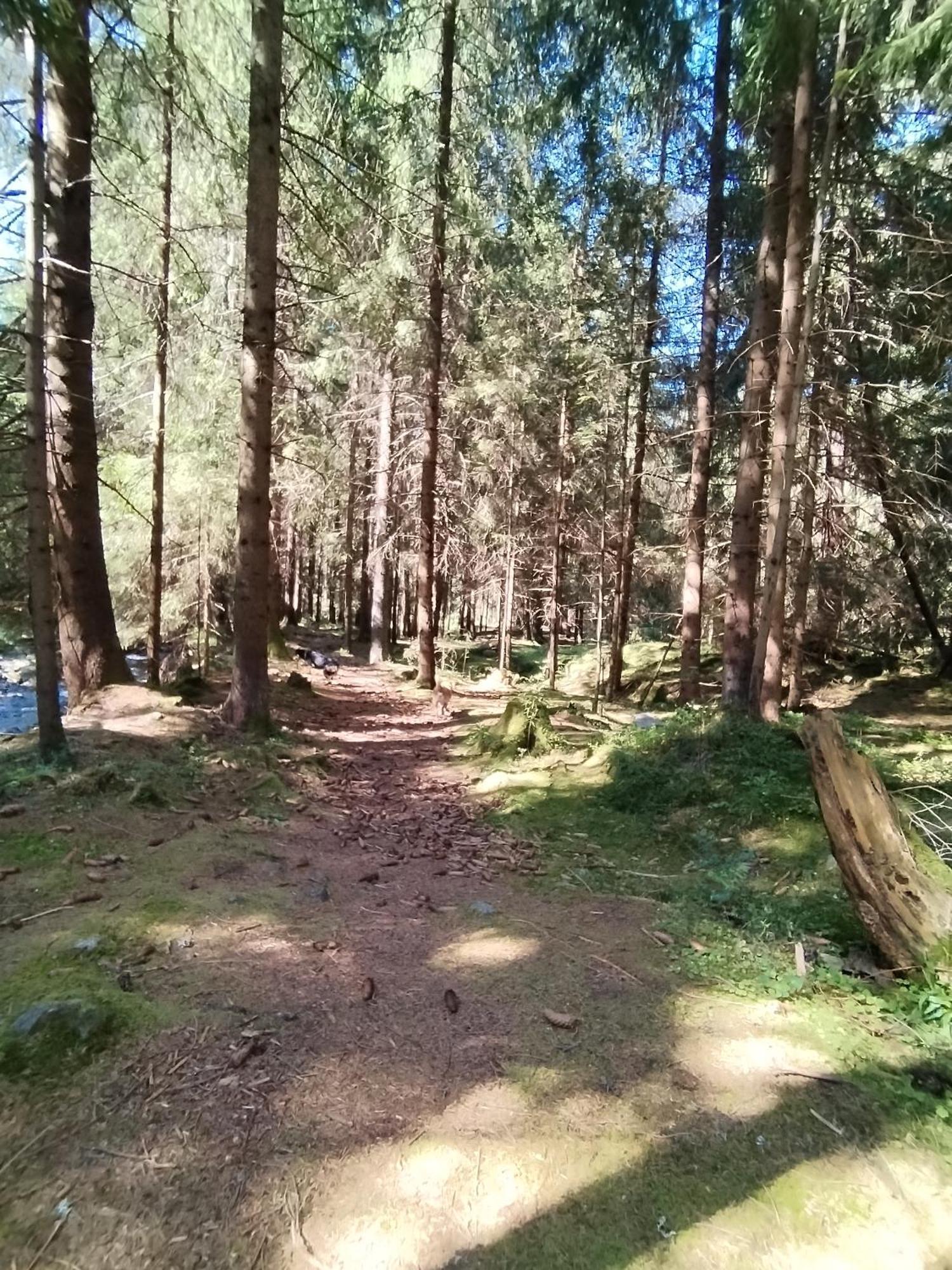 Penzion Real Žiar Extérieur photo